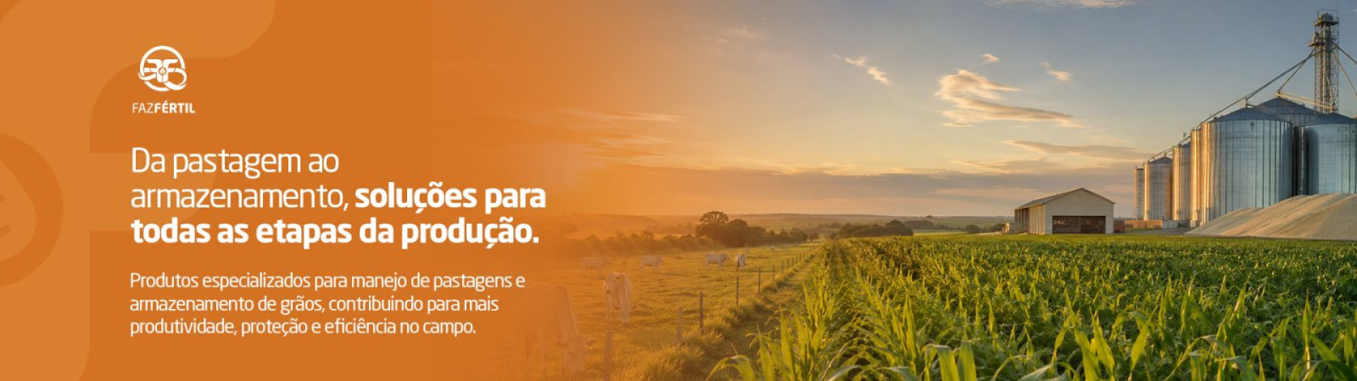 Banner desktop
